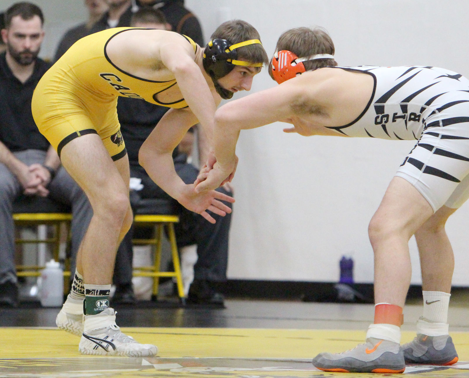 Division 3 Wrestling Regional at Cadott 2-15-20